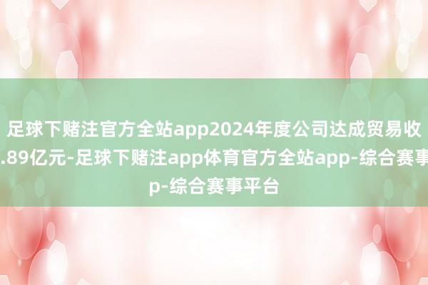 足球下赌注官方全站app2024年度公司达成贸易收入25.89亿元-足球下赌注app体育官方全站app-综合赛事平台