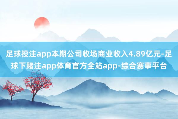 足球投注app本期公司收场商业收入4.89亿元-足球下赌注app体育官方全站app-综合赛事平台