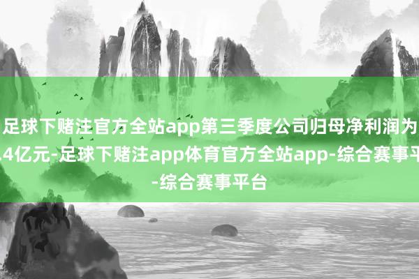 足球下赌注官方全站app第三季度公司归母净利润为11.4亿元-足球下赌注app体育官方全站app-综合赛事平台