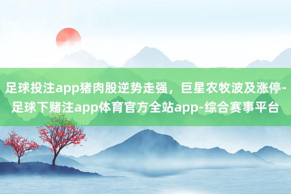 足球投注app猪肉股逆势走强，巨星农牧波及涨停-足球下赌注app体育官方全站app-综合赛事平台
