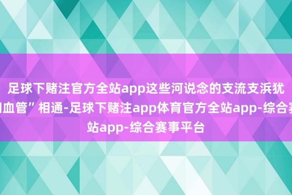 足球下赌注官方全站app这些河说念的支流支浜犹如“毛细血管”相通-足球下赌注app体育官方全站app-综合赛事平台
