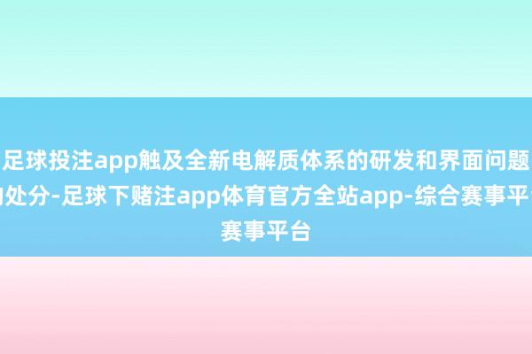 足球投注app触及全新电解质体系的研发和界面问题的处分-足球下赌注app体育官方全站app-综合赛事平台