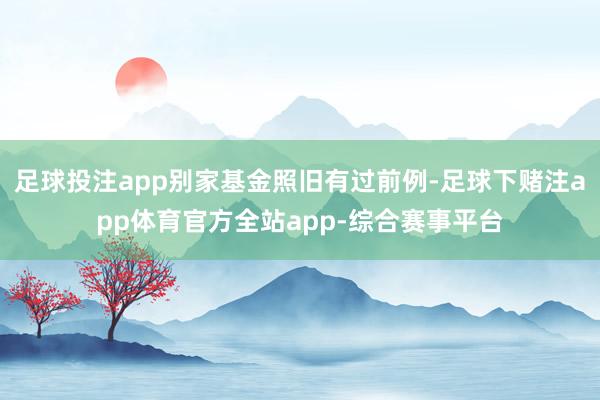 足球投注app别家基金照旧有过前例-足球下赌注app体育官方全站app-综合赛事平台