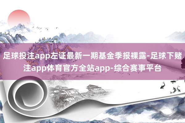 足球投注app左证最新一期基金季报裸露-足球下赌注app体育官方全站app-综合赛事平台