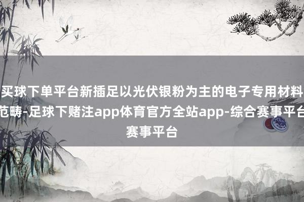 买球下单平台新插足以光伏银粉为主的电子专用材料范畴-足球下赌注app体育官方全站app-综合赛事平台
