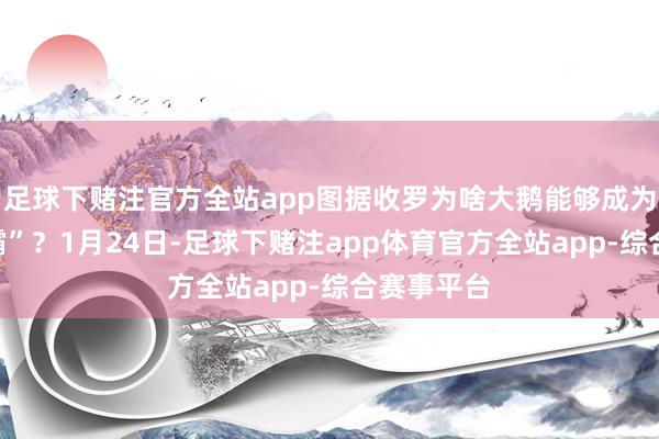 足球下赌注官方全站app图据收罗为啥大鹅能够成为“村头一霸”？1月24日-足球下赌注app体育官方全站app-综合赛事平台