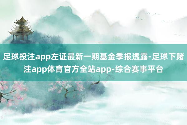 足球投注app左证最新一期基金季报透露-足球下赌注app体育官方全站app-综合赛事平台