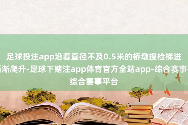 足球投注app沿着直径不及0.5米的桥墩搜检梯进取渐渐爬升-足球下赌注app体育官方全站app-综合赛事平台