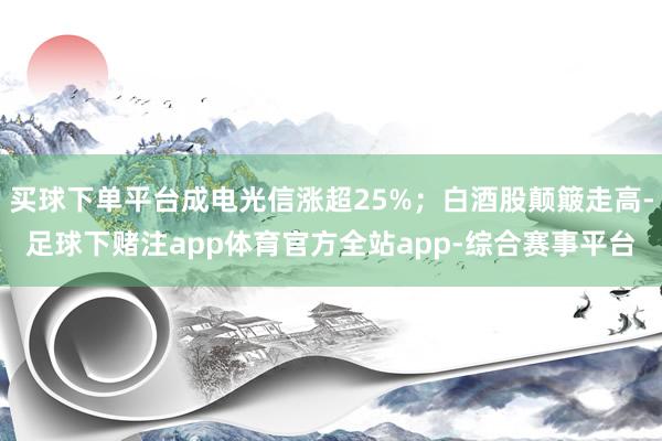 买球下单平台成电光信涨超25%；白酒股颠簸走高-足球下赌注app体育官方全站app-综合赛事平台