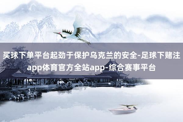 买球下单平台起劲于保护乌克兰的安全-足球下赌注app体育官方全站app-综合赛事平台