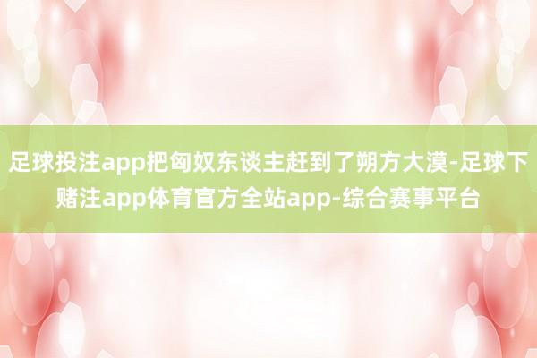 足球投注app把匈奴东谈主赶到了朔方大漠-足球下赌注app体育官方全站app-综合赛事平台