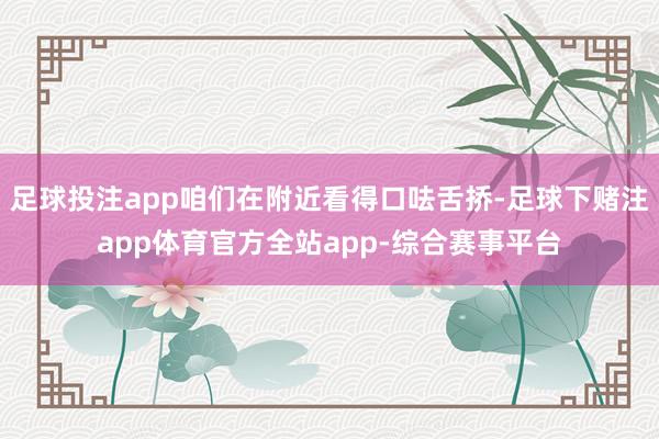 足球投注app咱们在附近看得口呿舌挢-足球下赌注app体育官方全站app-综合赛事平台