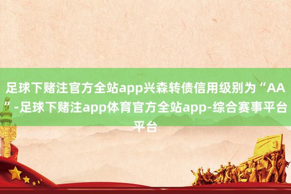足球下赌注官方全站app兴森转债信用级别为“AA”-足球下赌注app体育官方全站app-综合赛事平台