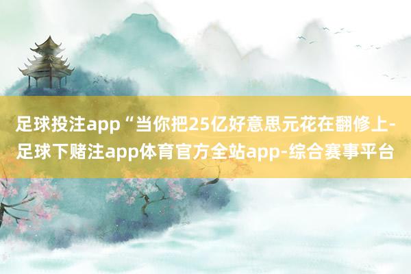足球投注app“当你把25亿好意思元花在翻修上-足球下赌注app体育官方全站app-综合赛事平台
