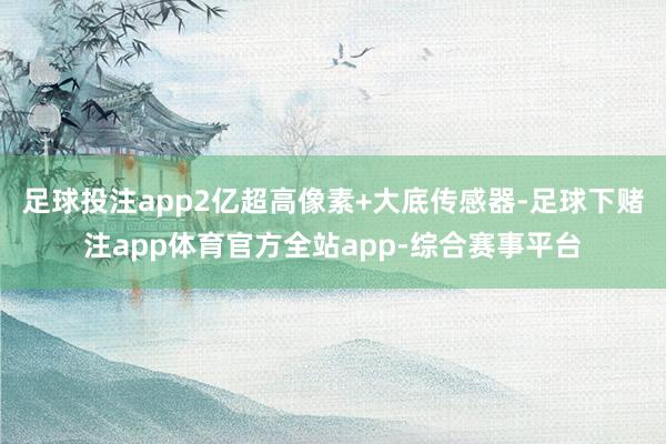 足球投注app2亿超高像素+大底传感器-足球下赌注app体育官方全站app-综合赛事平台