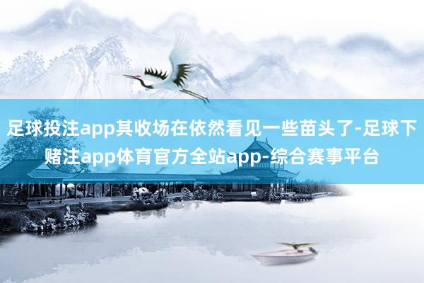 足球投注app其收场在依然看见一些苗头了-足球下赌注app体育官方全站app-综合赛事平台