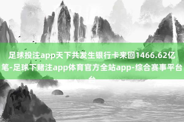 足球投注app天下共发生银行卡来回1466.62亿笔-足球下赌注app体育官方全站app-综合赛事平台