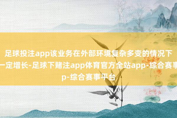 足球投注app该业务在外部环境复杂多变的情况下完了一定增长-足球下赌注app体育官方全站app-综合赛事平台