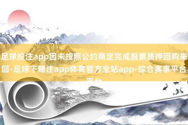 足球投注app因未按照公约商定完成股票质押回购来回-足球下赌注app体育官方全站app-综合赛事平台