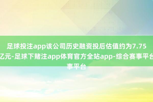 足球投注app该公司历史融资投后估值约为7.75亿元-足球下赌注app体育官方全站app-综合赛事平台