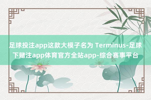 足球投注app这款大模子名为 Terminus-足球下赌注app体育官方全站app-综合赛事平台