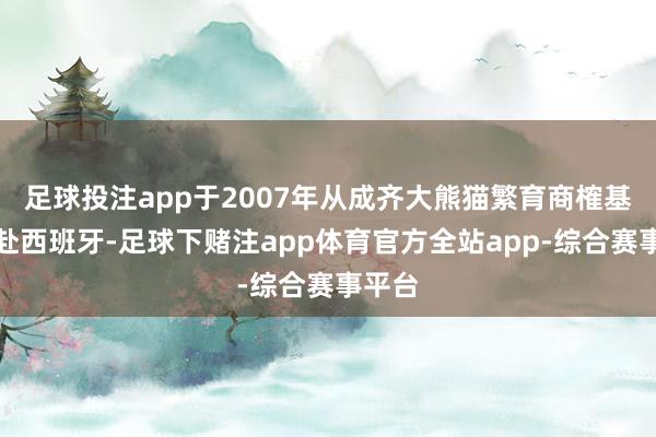 足球投注app于2007年从成齐大熊猫繁育商榷基地远赴西班牙-足球下赌注app体育官方全站app-综合赛事平台
