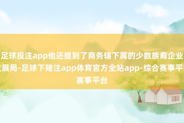 足球投注app他还提到了商务辖下属的少数族裔企业发展局-足球下赌注app体育官方全站app-综合赛事平台